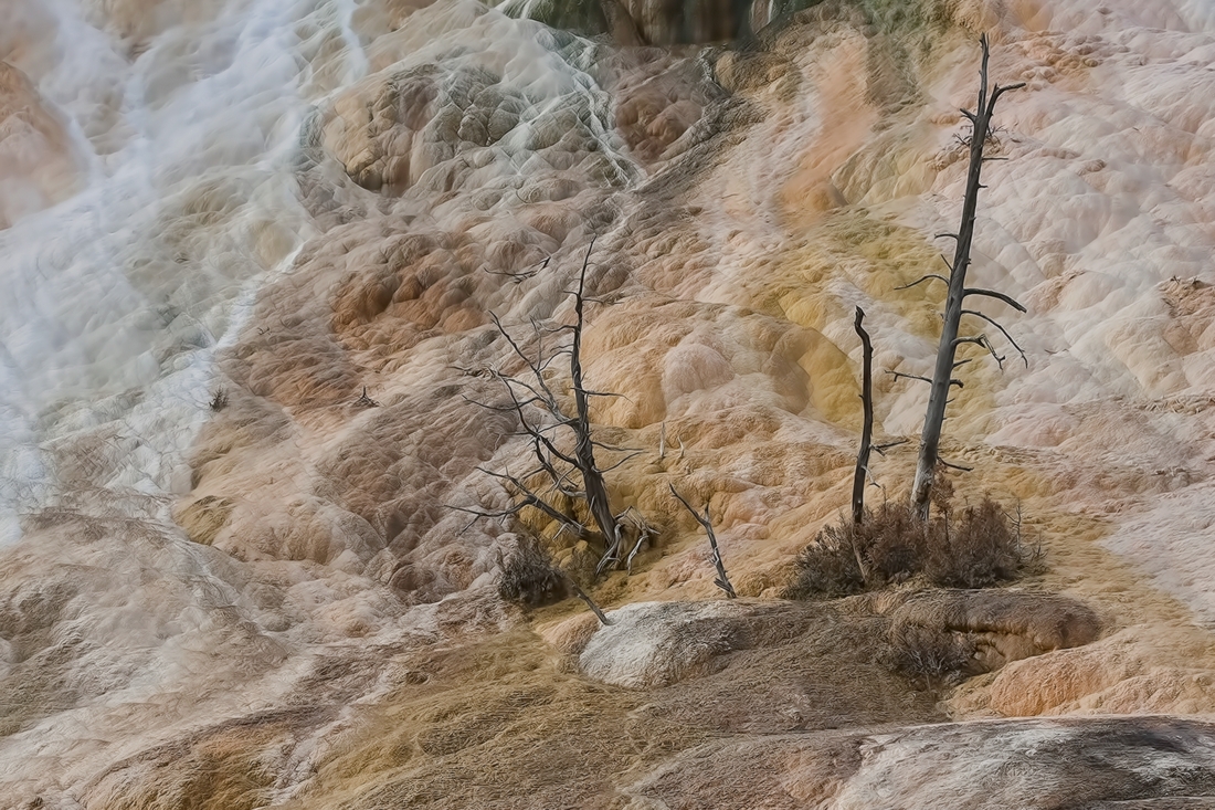 Palette Springs, Mammoth Hot Springs, Yellowstone National Park, Wyoming\n\n18 September, 2008