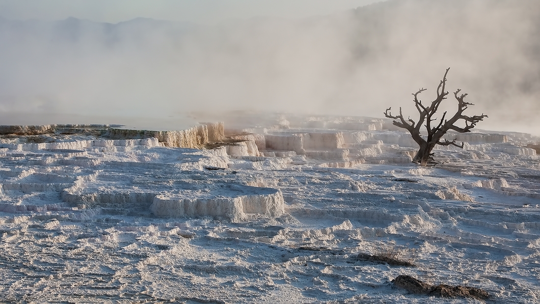 Upper Terrace, Mammoth Hot Springs, Yellowstone National Park, Wyoming\n\n19 September, 2008