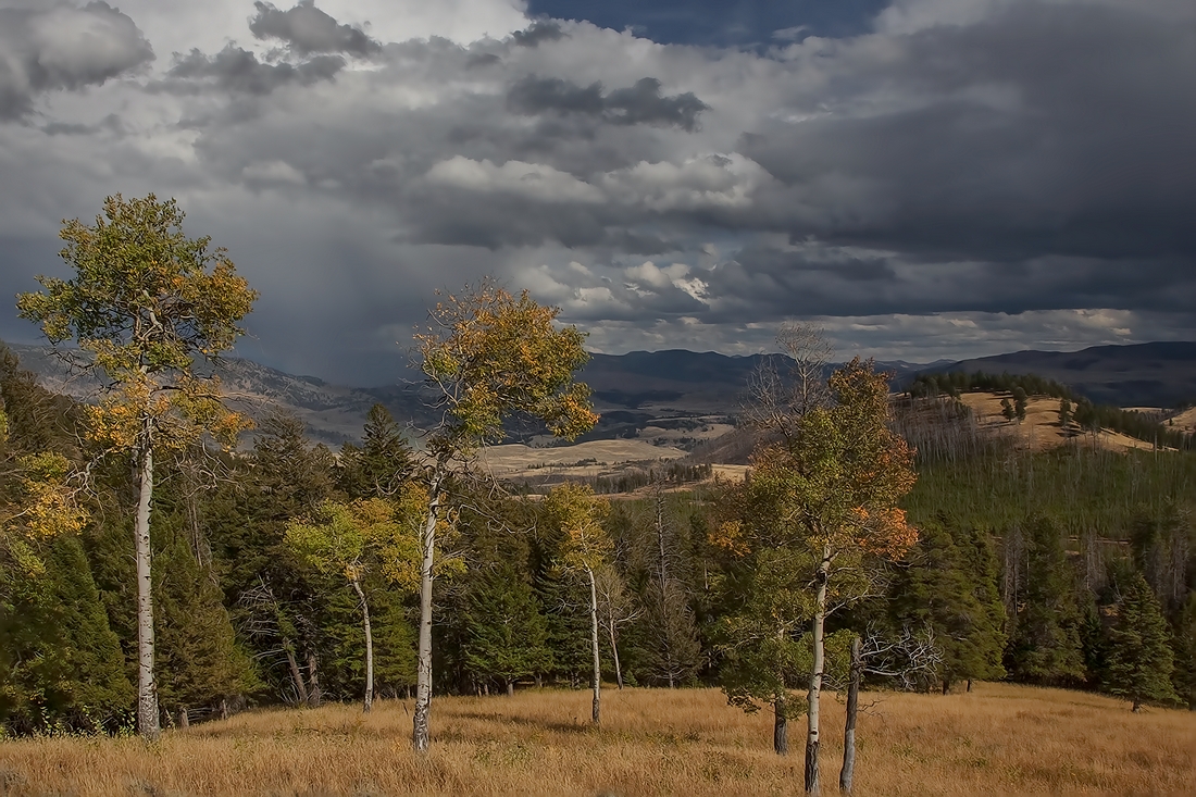 Blacktail Butte, Yellowstone National Park, Wyoming\n\n20 September, 2009