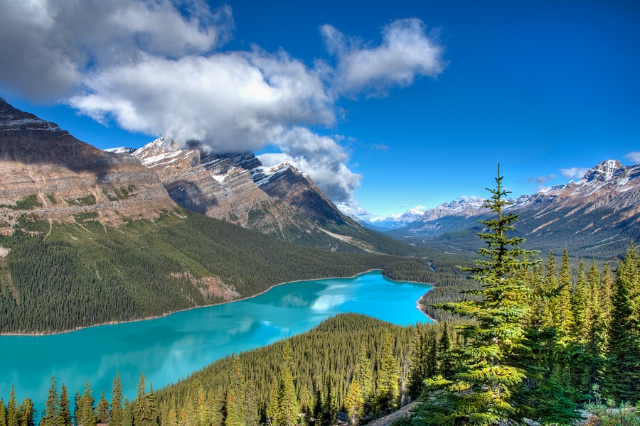 Peyto Lake\n\nBow Pass Summit, Banff National Park, Alberta