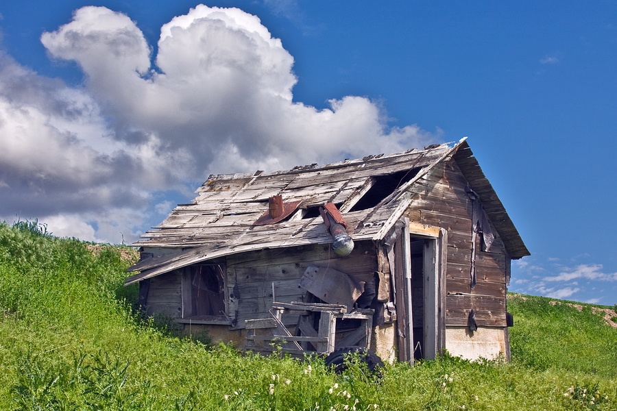 The Old Shack\n\nNear Moscow, Washington\n\n2 June, 2009