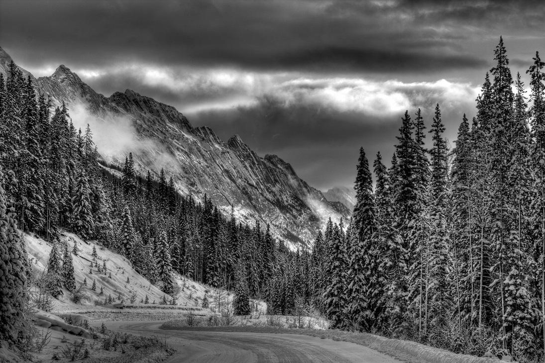 Maligne Lake Road, Jasper National Park, Alberta\n\n11 December, 2011