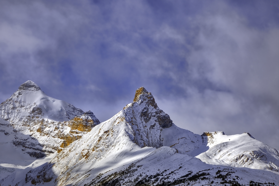 Parker Ridge, Icefields Parkway, Banff National Park, Alberta\n\n27 October, 2011