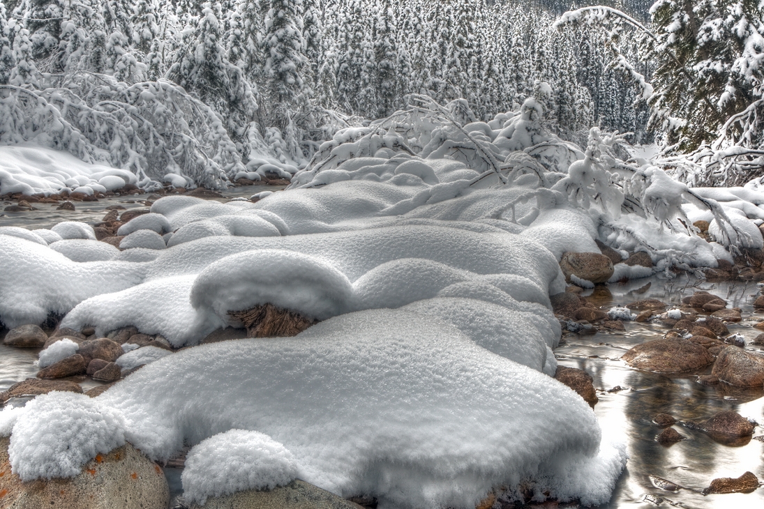 Maligne River, Jasper National Park, Alberta\n\n10 December, 2011