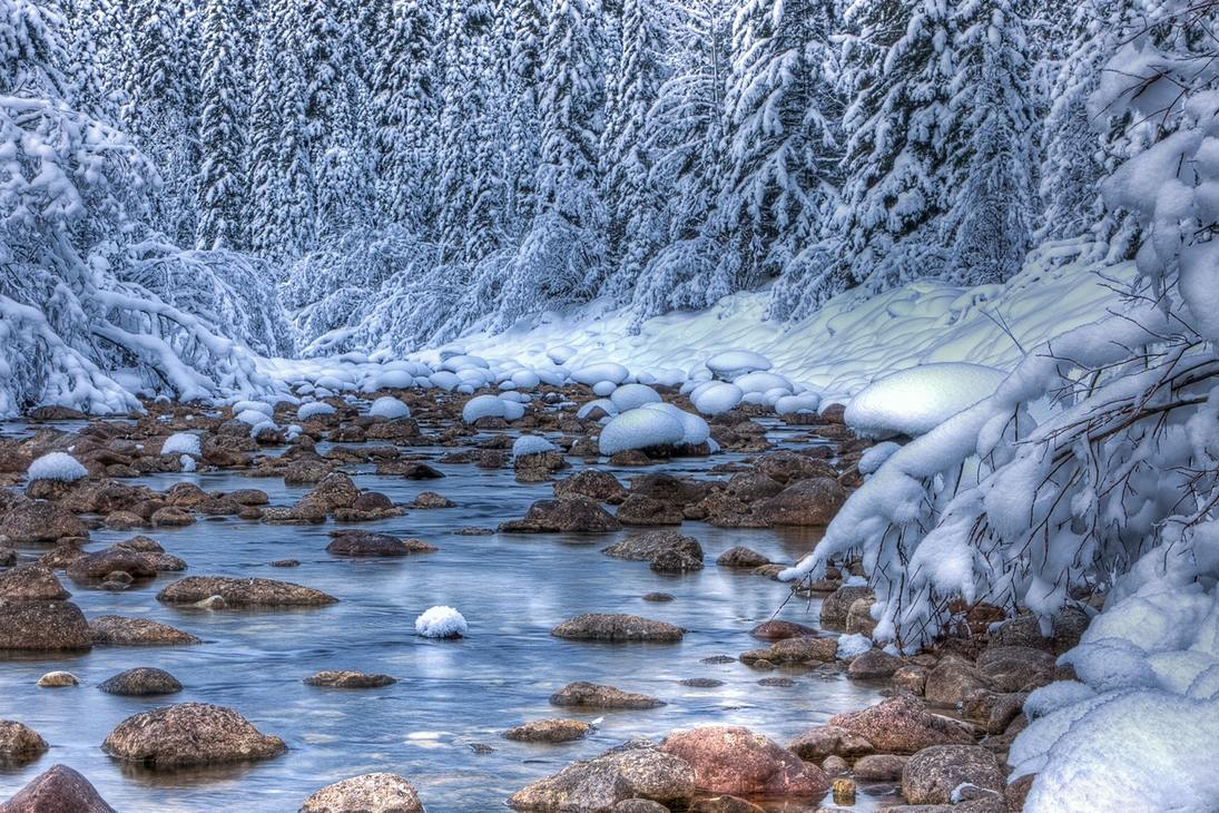 Maligne River, Jasper National Park, Alberta\n\n10 December, 2011