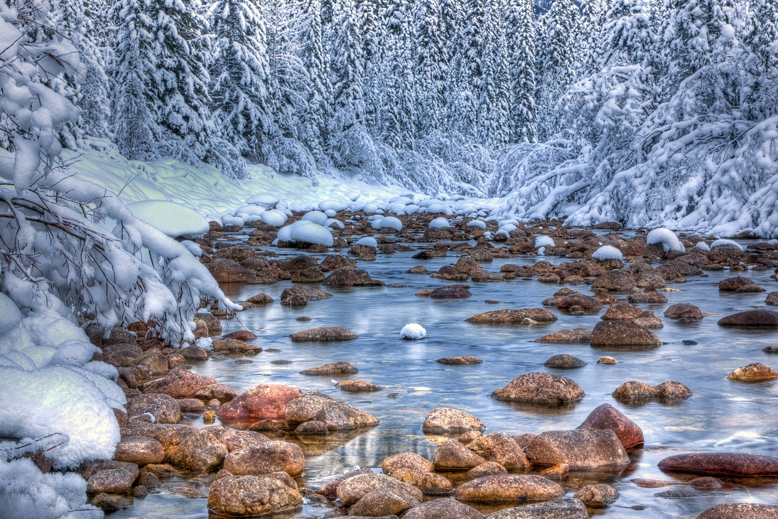 Maligne River, Jasper National Park, Alberta\n\n10 December, 2011