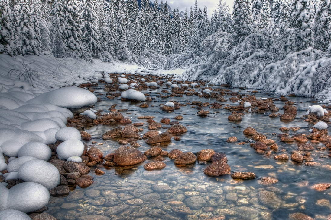 Maligne River, Jasper National Park, Alberta\n\n10 December, 2011