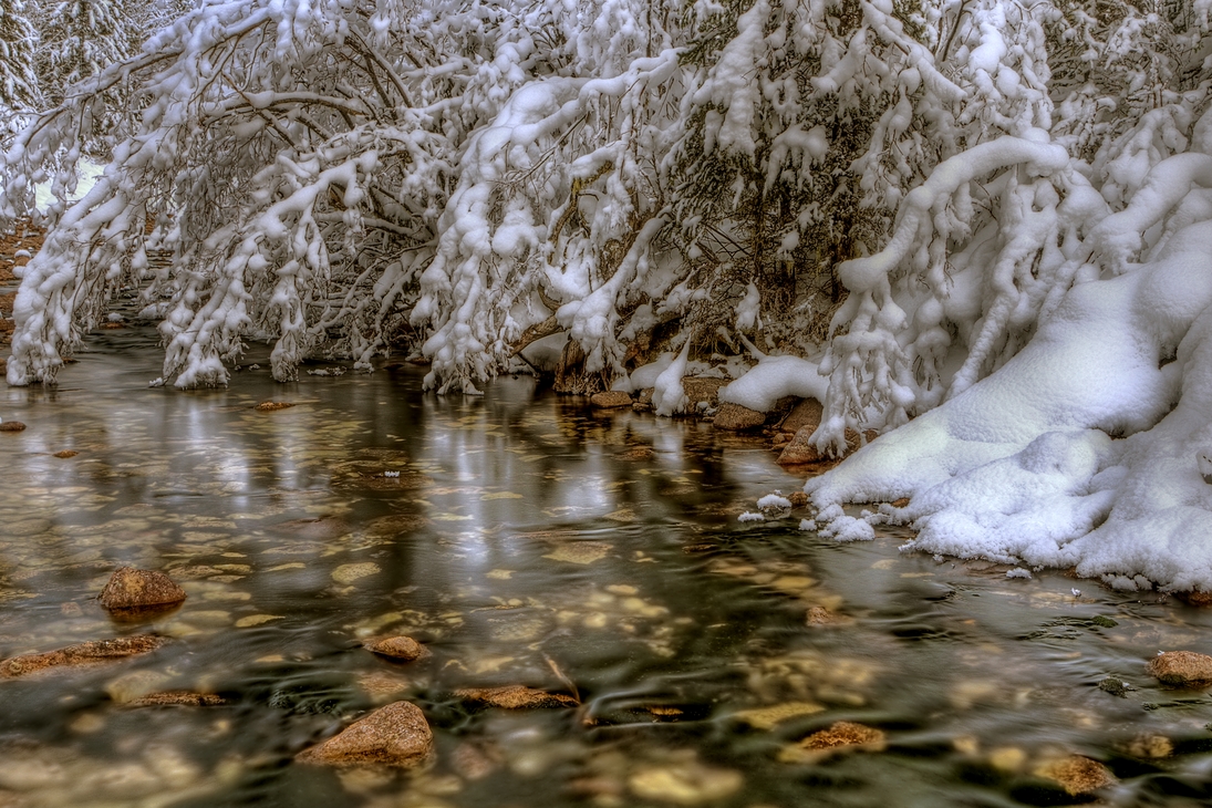 Maligne River, Jasper National Park, Alberta\n\n10 December, 2011