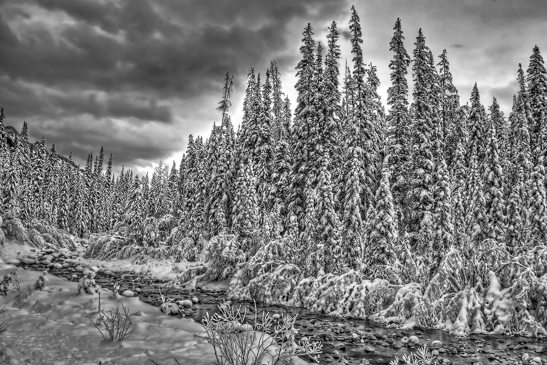 Maligne River Picnic Area, Jasper National Park, Alberta\n\n10 December, 2011