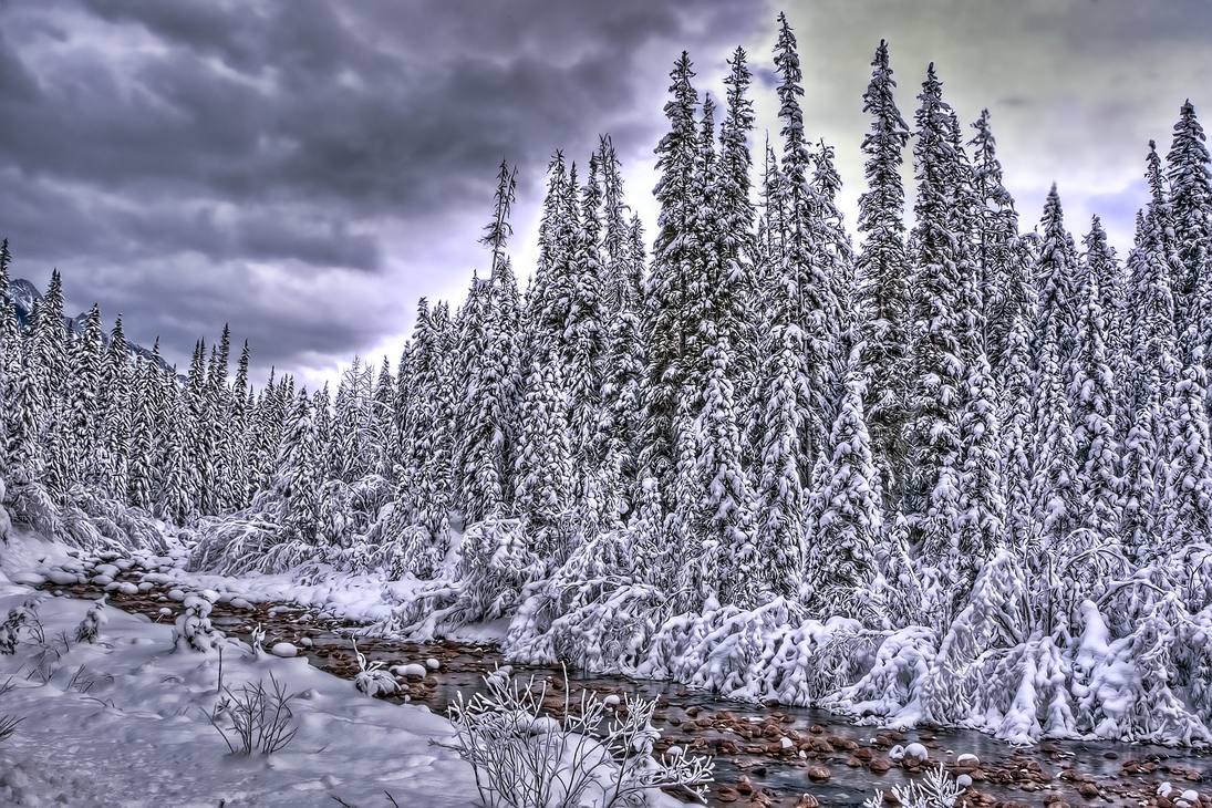 Maligne River Picnic Area, Jasper National Park, Alberta\n\n10 December, 2011