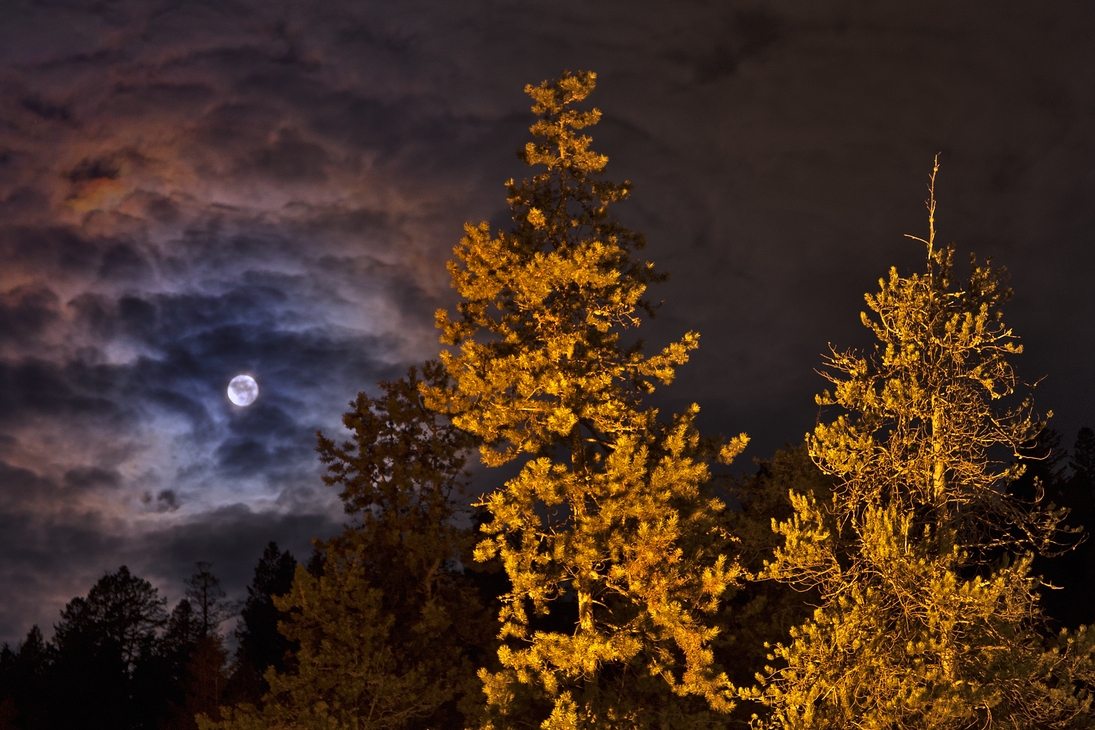 Parking Lot, Best Western Hotel, Jasper, Alberta\n\n11 December, 2011