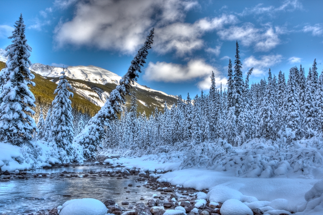 Maligne River, Jasper National Park, Alberta\n\n11 December, 2011