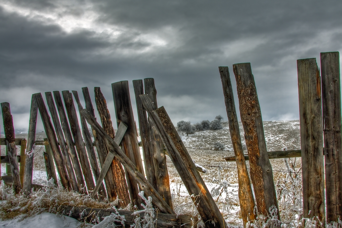 Cattle Country, High Range Off Mendenhall Road, Near Vernon, British Columbia\n\n9 February, 2012