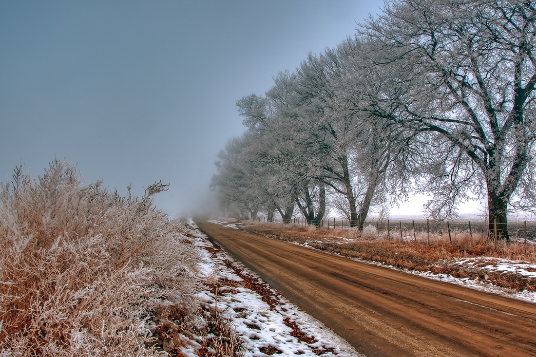 Morning Fog, Murphy Road, Coldstream, British columbia\n\n7 February, 2012