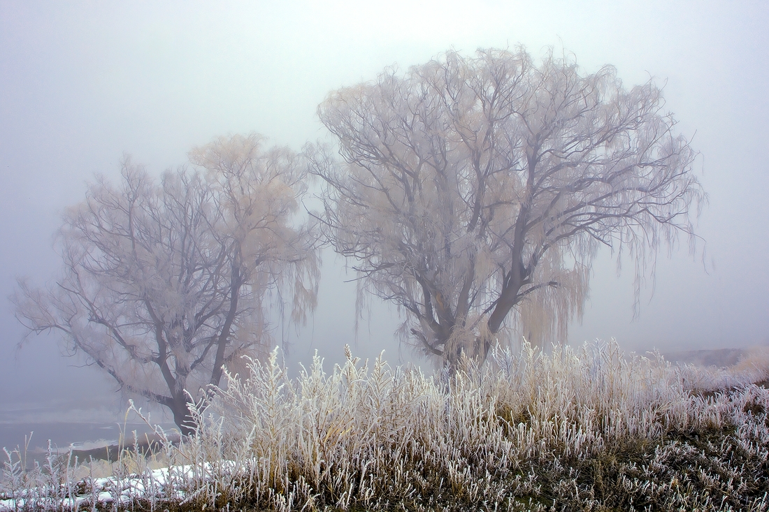 Morning Fog, Bench Row Road, Vernon, British Columbia\n\n7 February, 2012