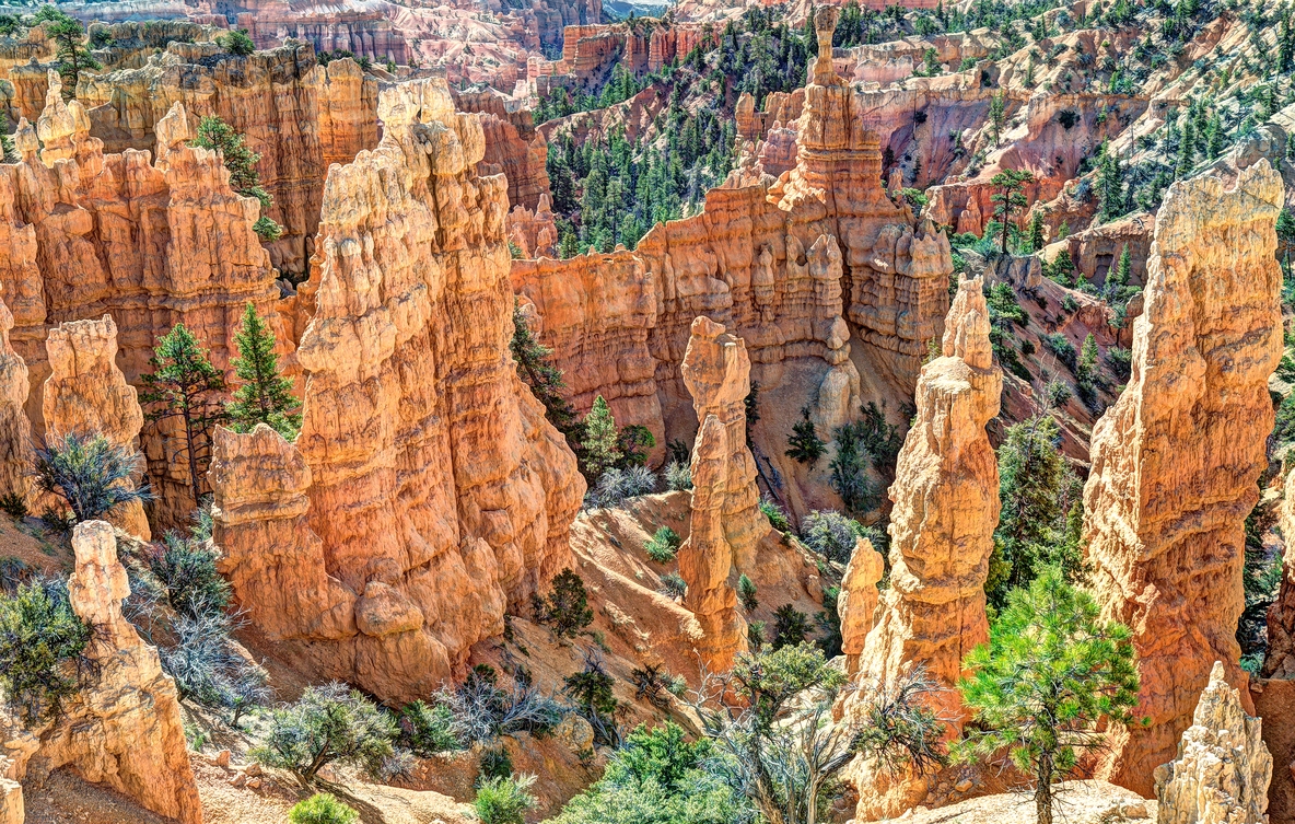 Fairyland Point, Bryce Canyon National Park, Near Ruby's Inn, Utah\n\n18 May, 2012