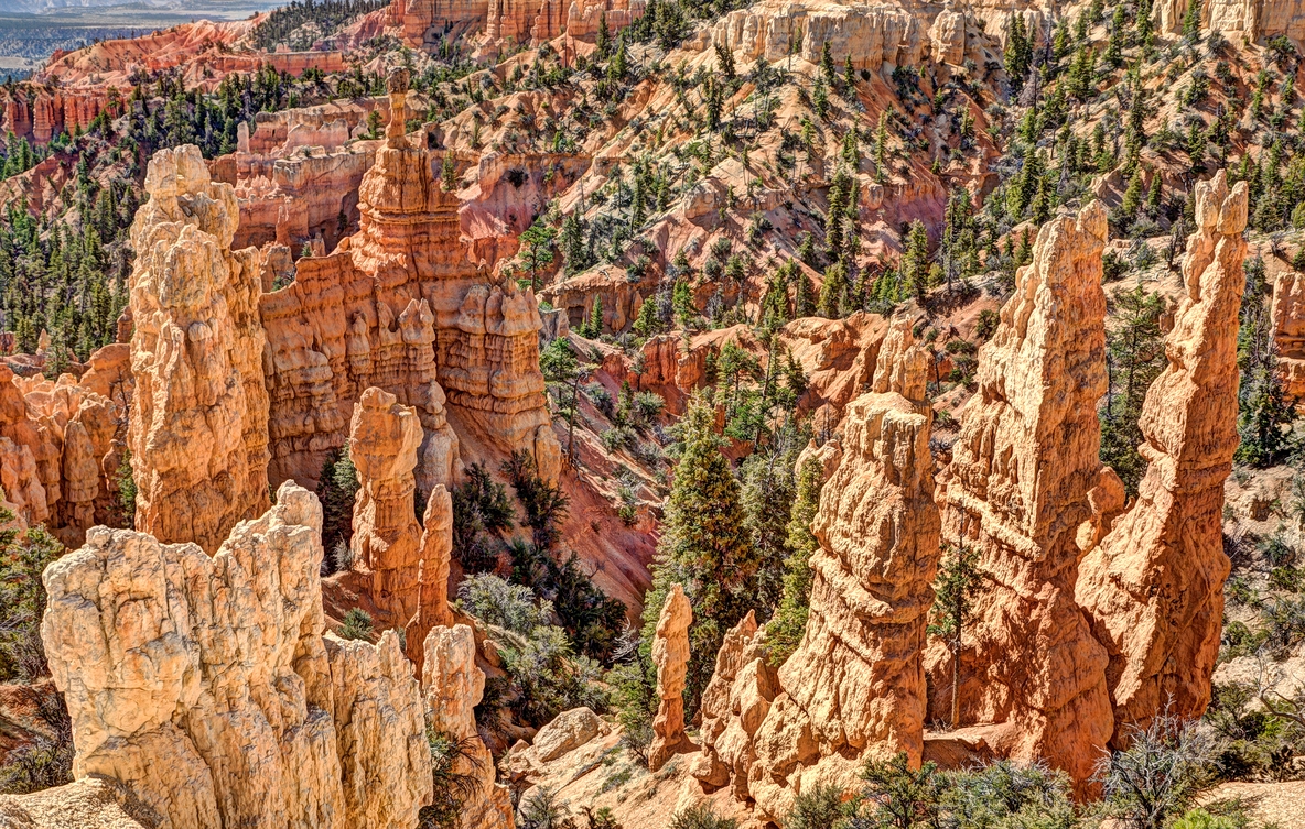 Fairyland Point, Bryce Canyon National Park, Near Ruby's Inn, Utah\n\n18 May, 2012