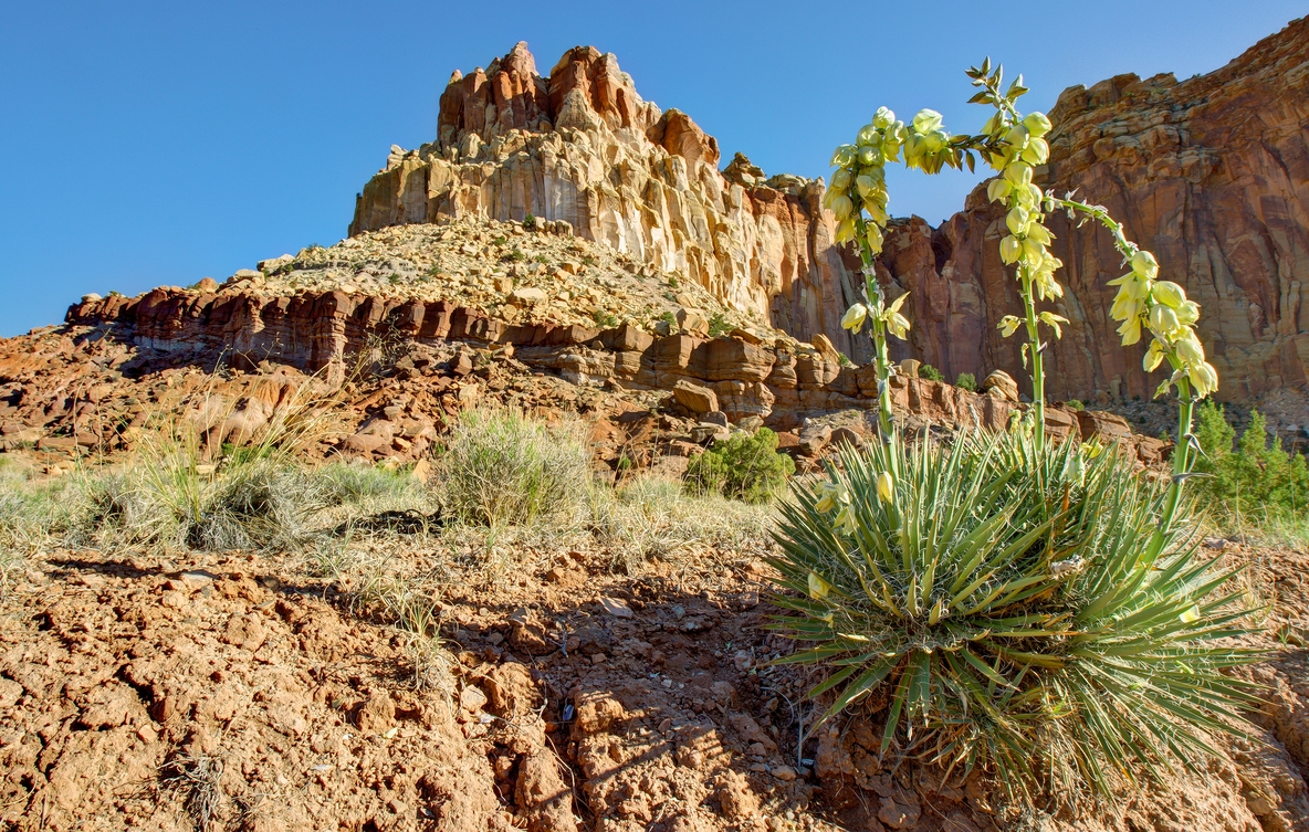 Golden Throne, Gorge Road, Capitol Reef National Park, Near Torrey, Utah\n\n21 May, 2012