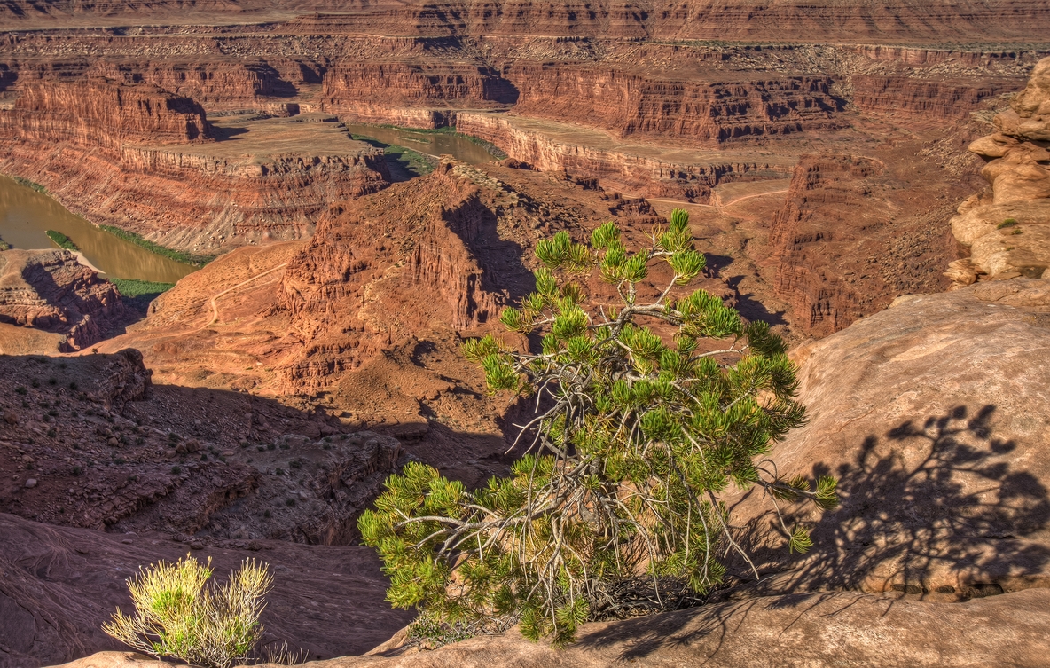 Shafter Canyon Overlook, Dead Horse Point State Park, Near Moab, Utah\n\n9 May, 2012