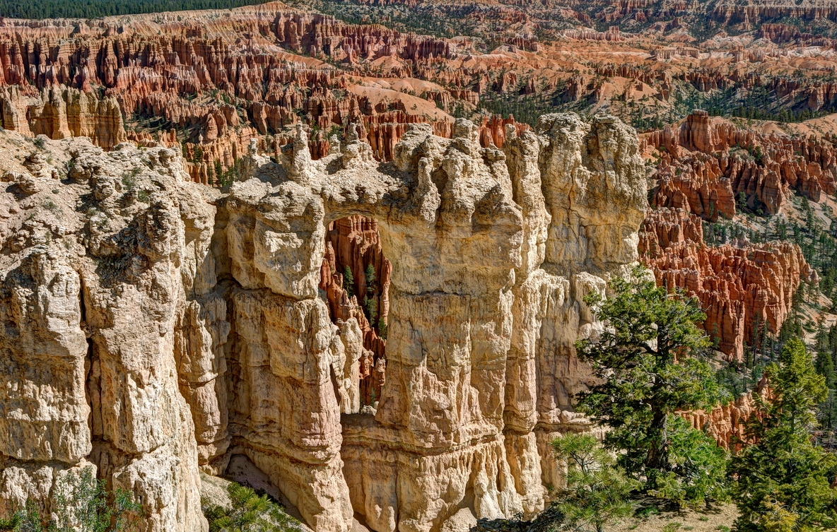 Grottos And Arch, Bryce Point, Bryce Canyon National Park, Near Ruby's Inn, Utah\n\n16 May, 2012