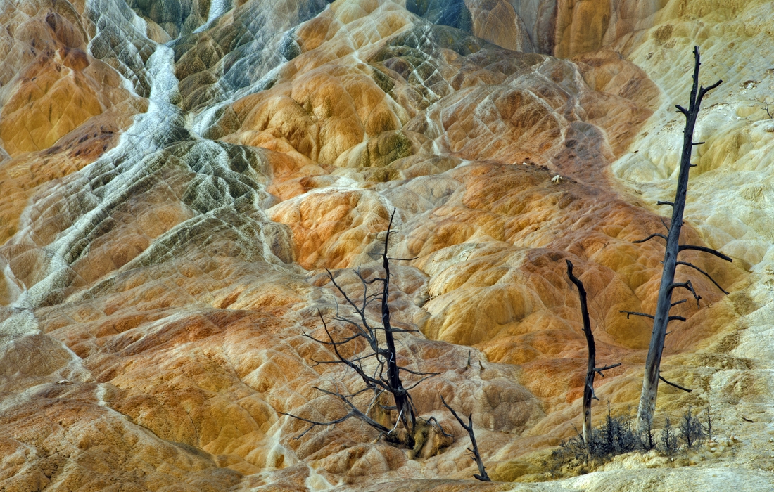 Palette Spring, Lower Terrace, Mammoth Hot Springs, Yellowstone National Park, Wyoming\n\n1 September, 2012