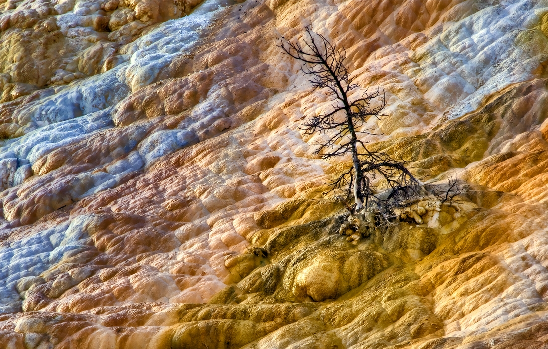 Palette Spring, Lower Terrace, Mammoth Hot Springs, Yellowstone National Park, Wyoming\n\n1 September, 2012