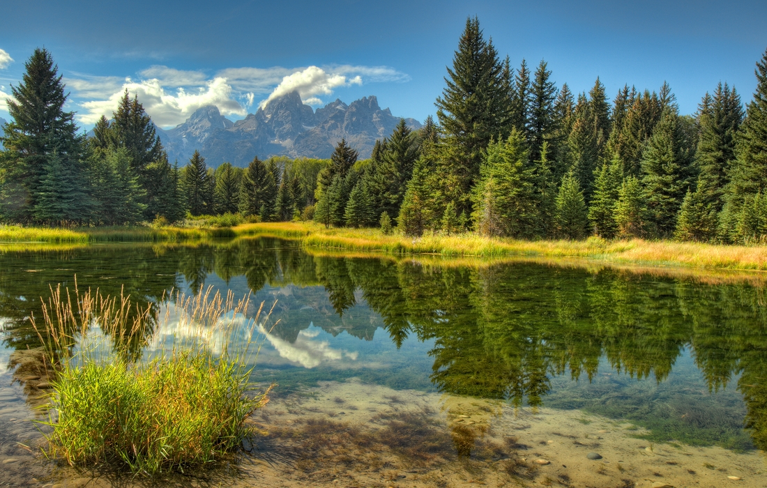 Beaver Pond, Lower Schwabacher's Landing, Grand Teton National Park, Wyoming\n\n1 September, 2012