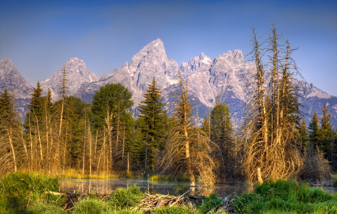 Beaver Pond, Lower Schwabacher's Landing, Grand Teton National Park, Wyoming\n\n3 September, 2012