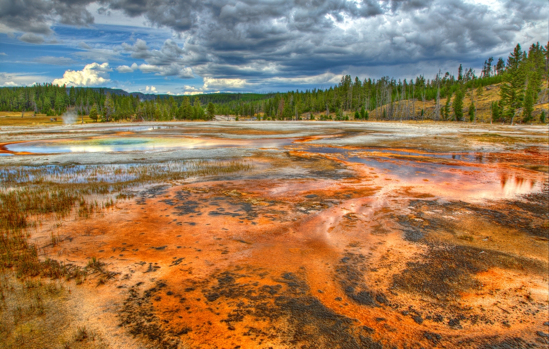 Upper Geyser Basin, Near Chromatic Spring, Yellowstone National Park, Wyoming\n\n31 August, 2012