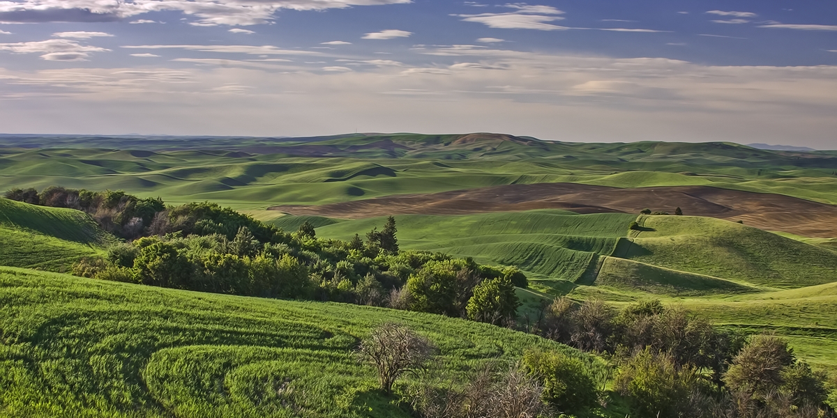 Steptoe Butte, Near Colfax, Washington\n\n31 May, 2009