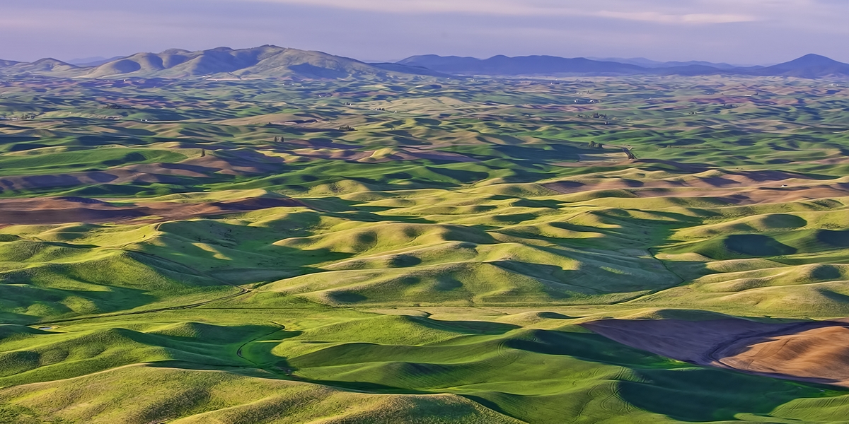 Steptoe Butte, Near Colfax, Washington\n\n31 May, 2009