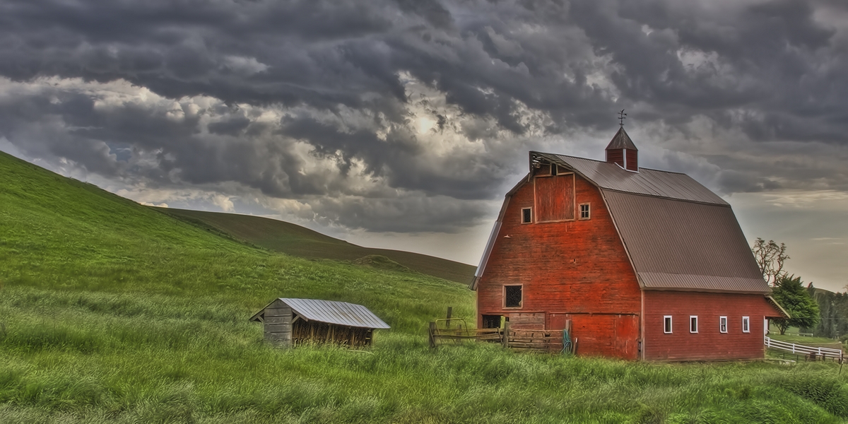 Palouse Region (Location Unknown), Washington\n\n1 June, 2009