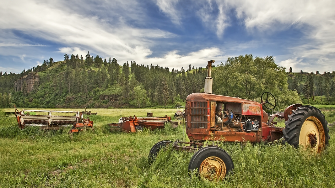 Manning Road, Near Diamond, Washington\n\n2 June, 2009