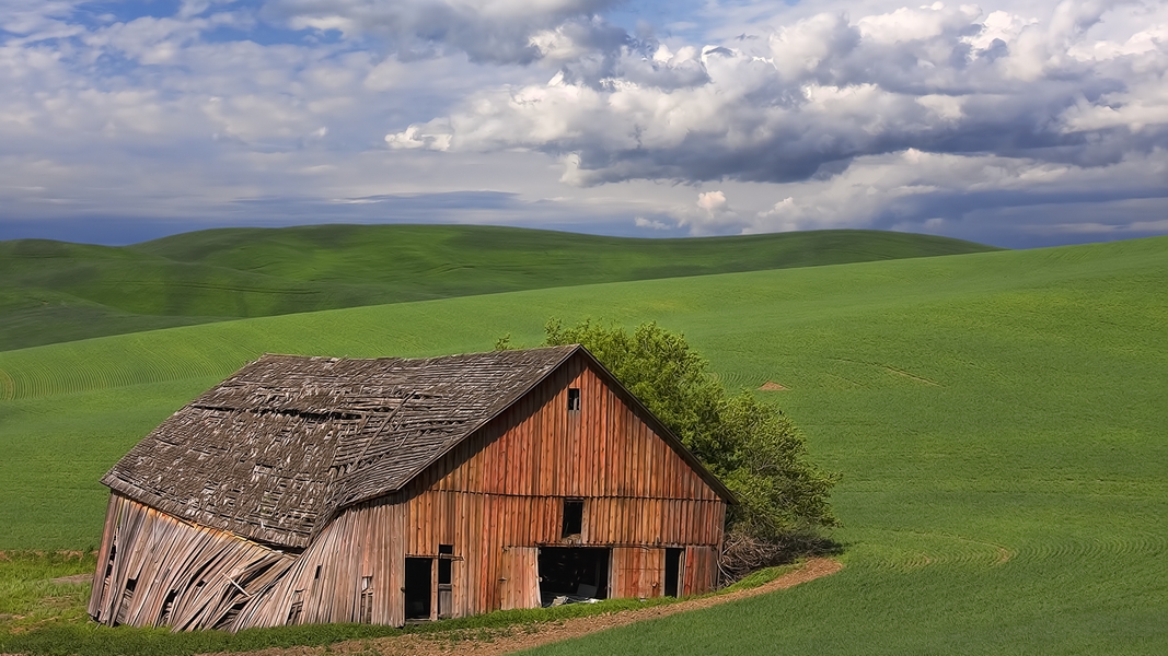 Palouse Region (Location Unknown), Washington\n\n2 June, 2009