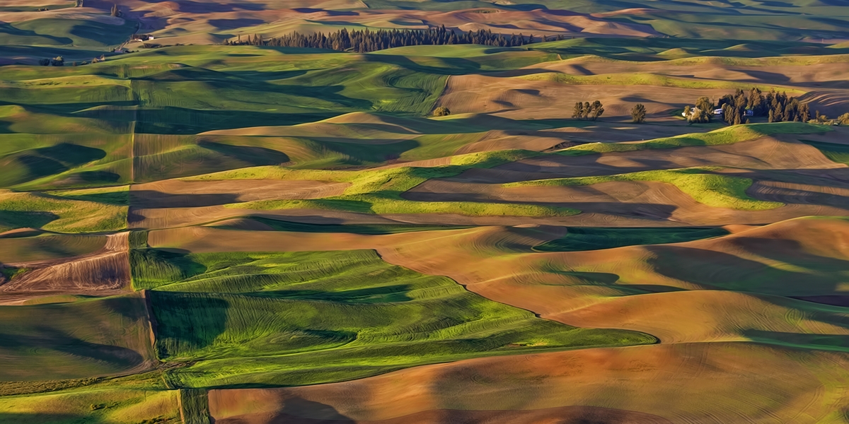 Steptoe Butte, Near Colfax, Washington\n\n3 June, 2009