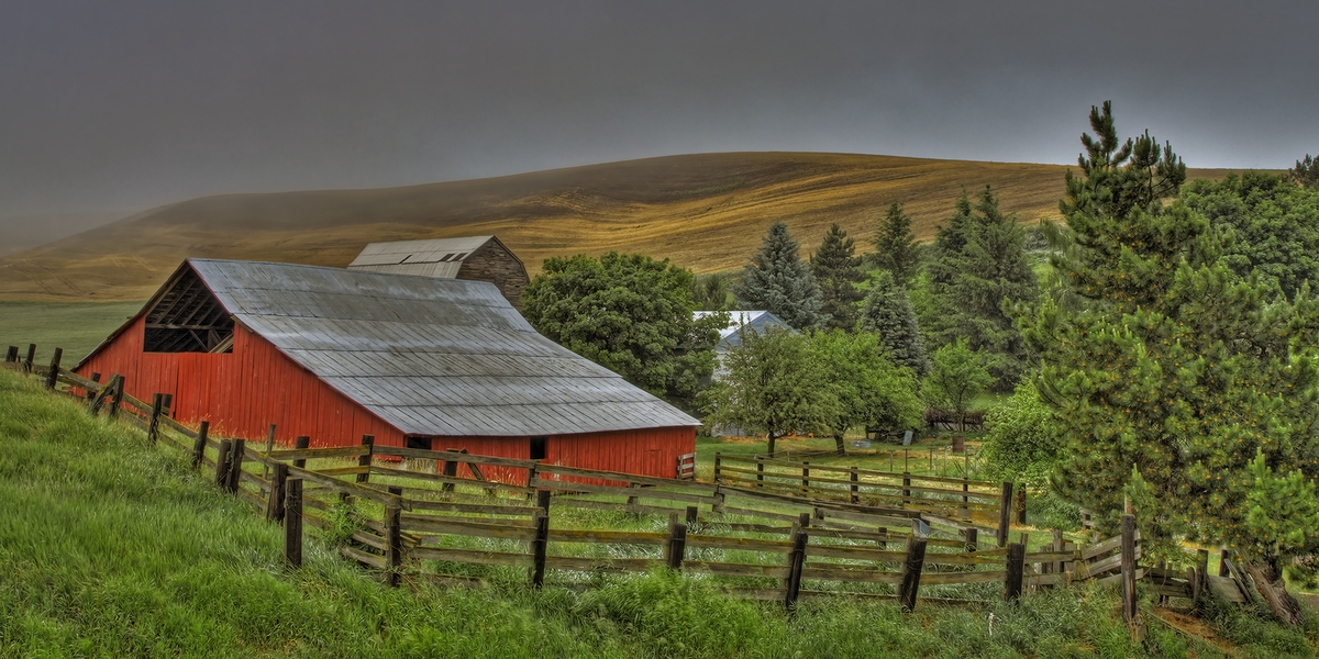 Long Hollow Road, Near Almota, Washington\n\n19 June, 2013