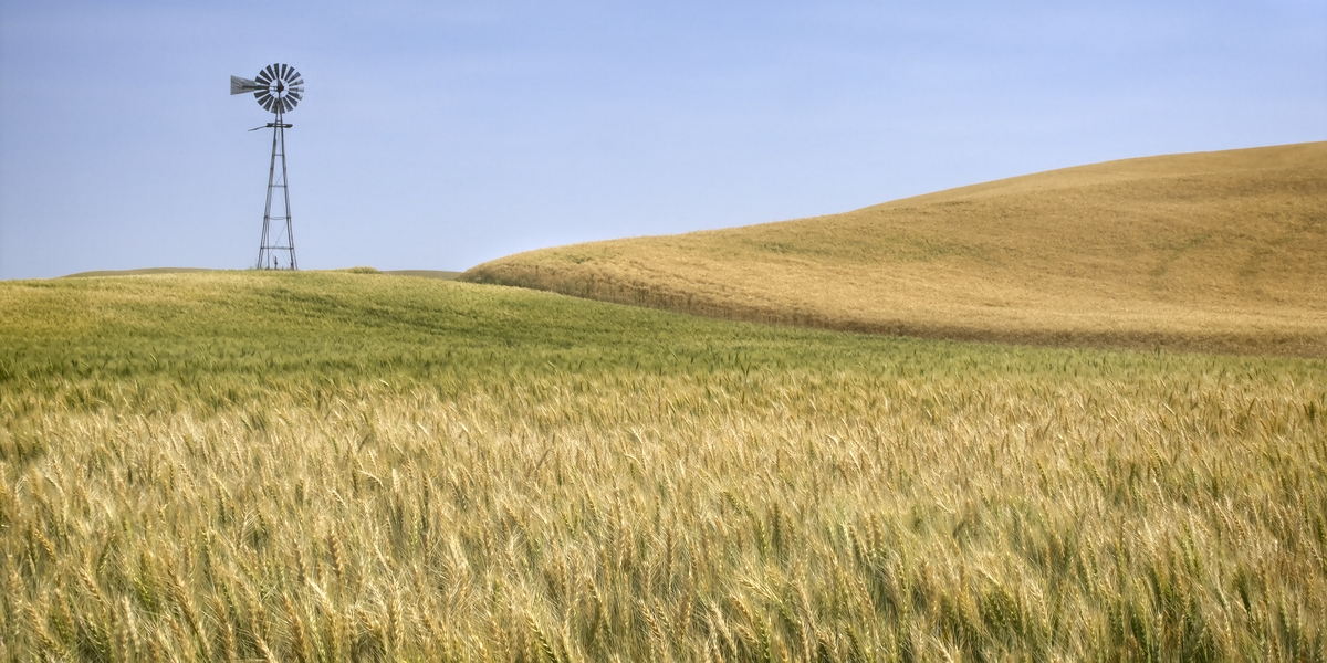 Tibbett Road, Near Oakesdale, Washington\n\n28 July, 2013