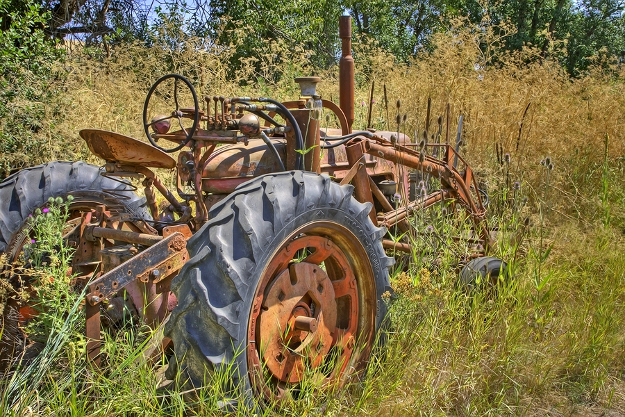 Mulkey Road, Near Diamond, Washington\n\n29 July, 2013