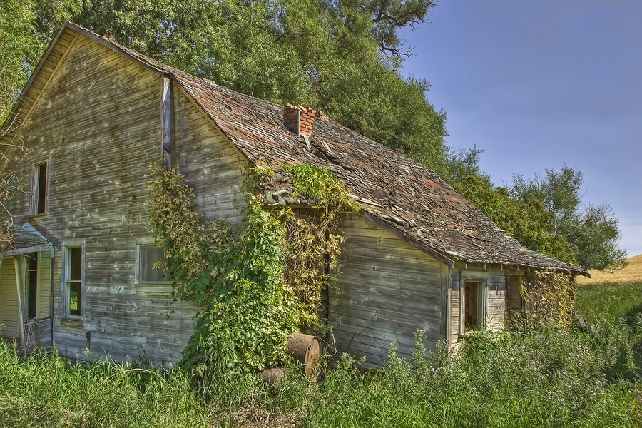 Mack Lloyd Road, Near Diamond, Washington\n\n29 July, 2013