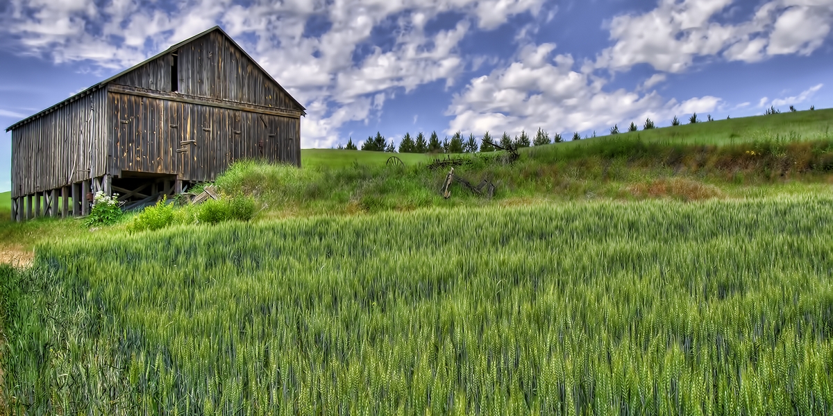 Jim Henning Road, Near Sunset, Washington\n\n17 June, 2013