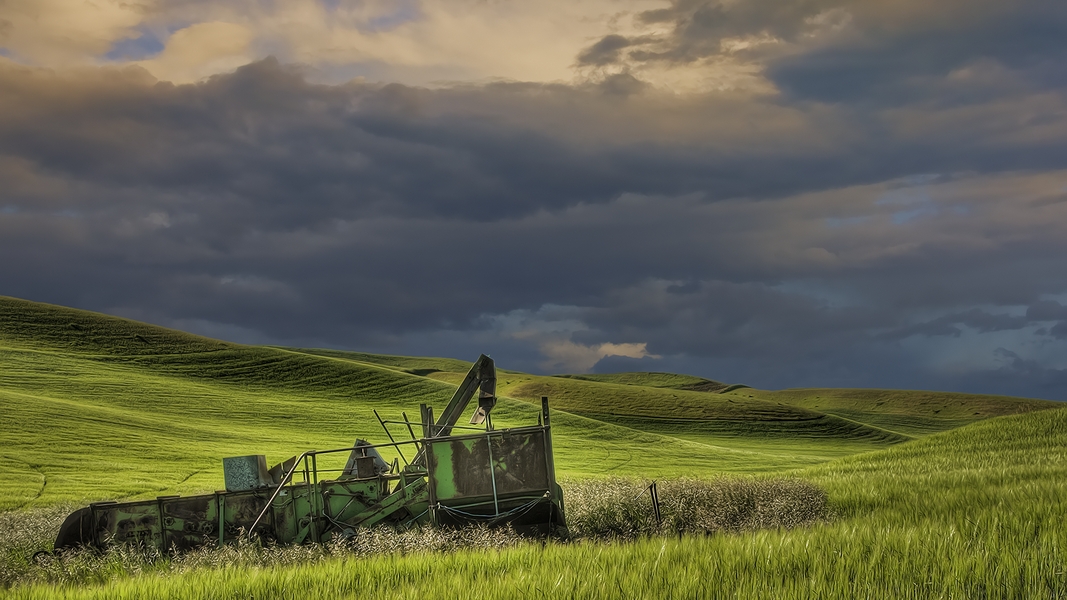 Cooke Road, Near St. John, Washington\n\n17 June, 2013