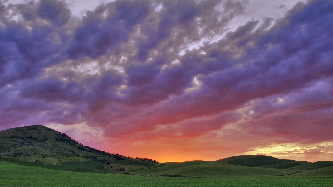 Steptoe Butte, Hume Road, Washington\n\n17 June, 2013