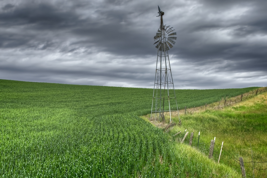 Hoffman Road, Near Albion, Washington\n\n18 June, 2013