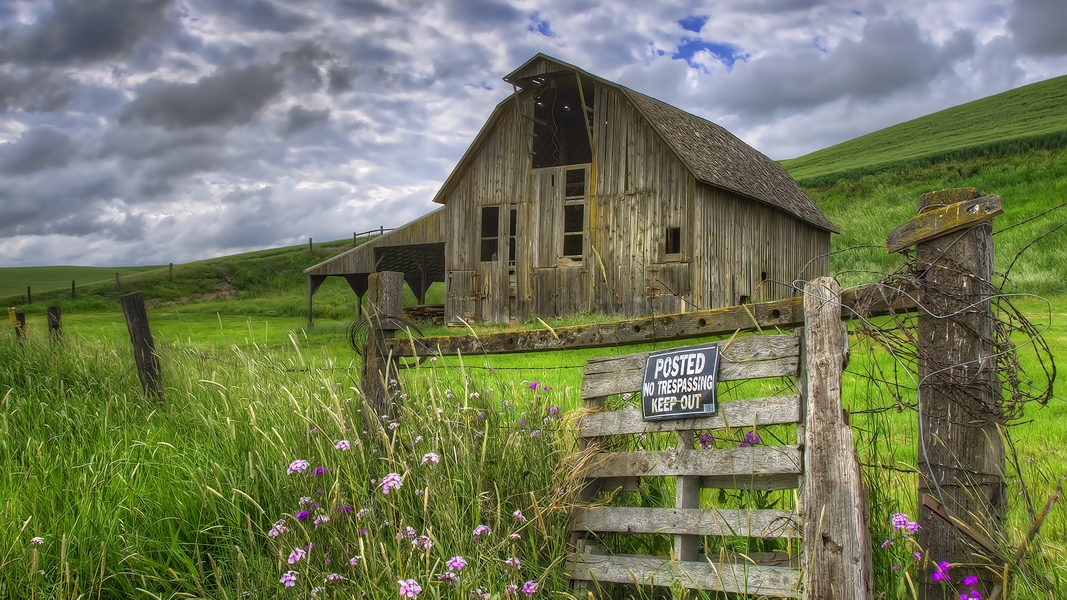 Tate-Cutoff Road, Near Albion, Washington\n\n18 June, 2013