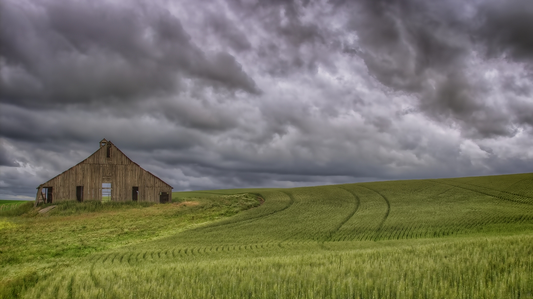 Lodow Butte Road, Near Garfield, Washington\n\n18 June, 2013