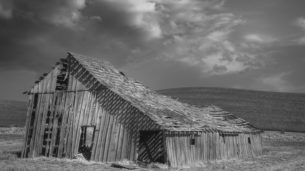 Hitchings Road, Near Sunset, Washington\n\n17 June, 2013