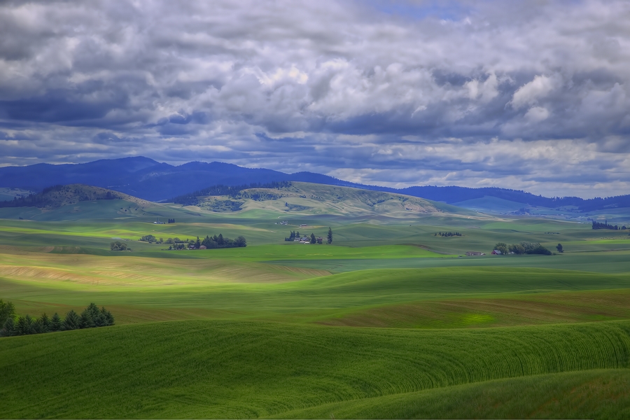 Clear Creek Road, Near Palouse, Washington\n\n18 June, 2013