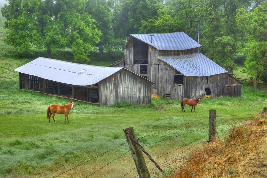 Benedict Road, Near Almota, Washington\n\n19 June, 2013