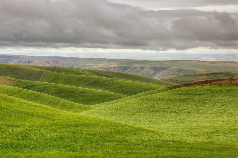 Severs Road, Near Almota, Washington\n\n19 June, 2013