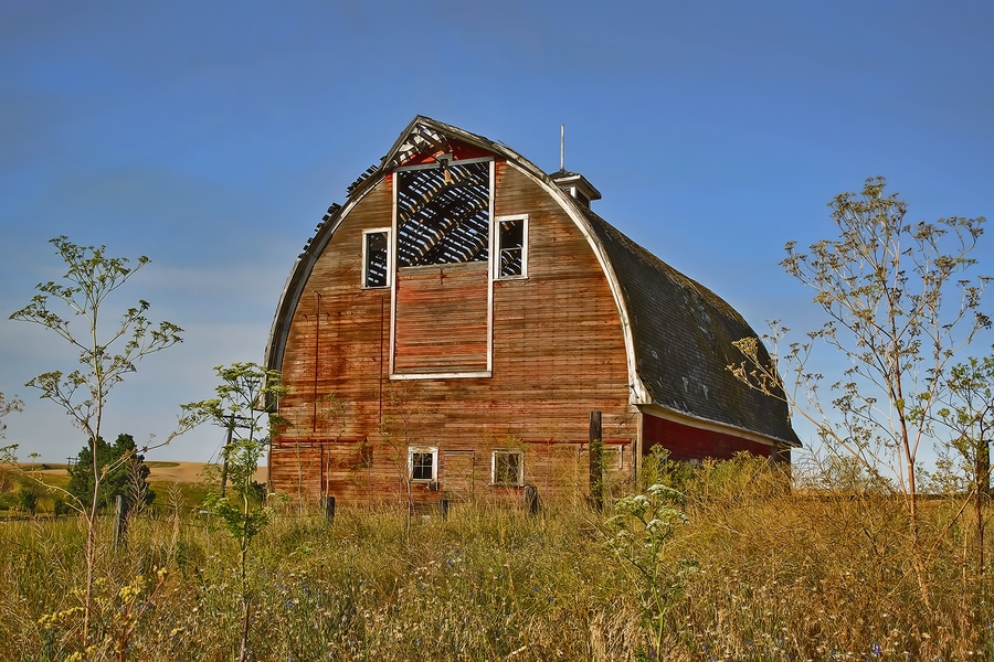 Kramlich 1920 Gothic Barn, SR 272, Near Colfax, Washington\n\n27 July, 2013